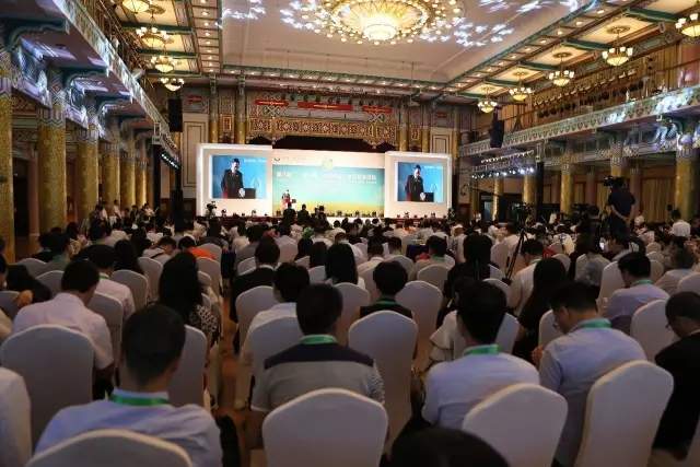 1526029380240685.jpg 1.webp.jpg